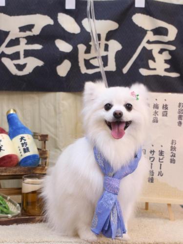 20240608ゆずちゃん